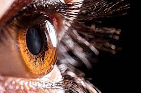 Best Cornea in Habsiguda